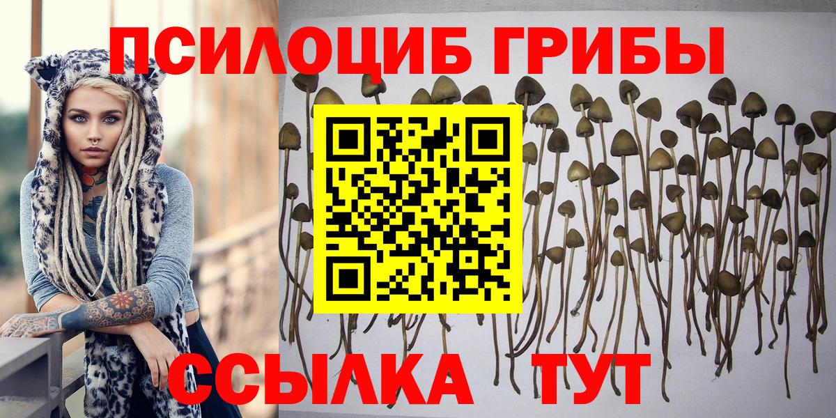 Галлюциногенные грибы Cubensis  Галлюциногенные грибы MAGIC MUSHROOMS  Вход с VPN  Санкт-Петербург 